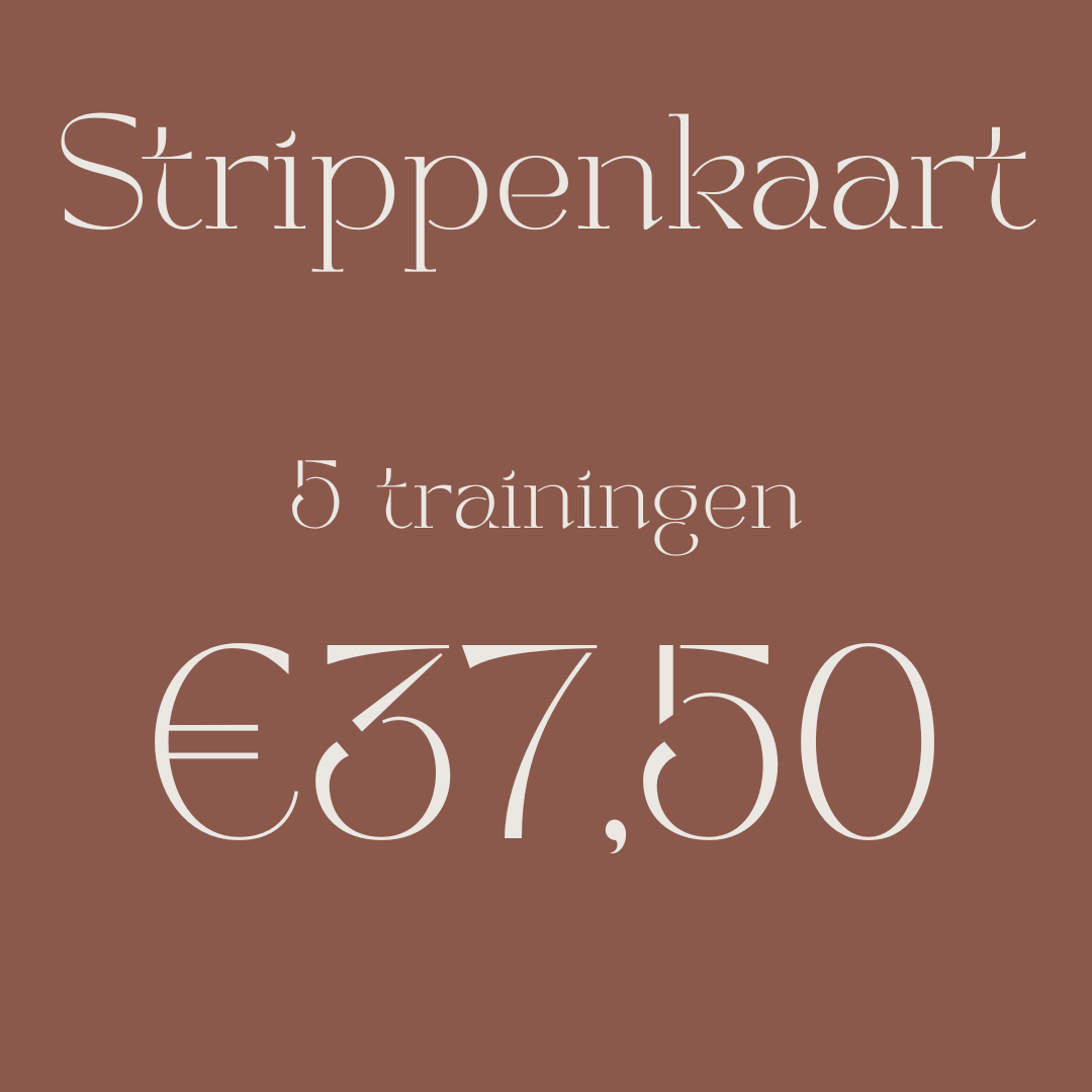 3 3